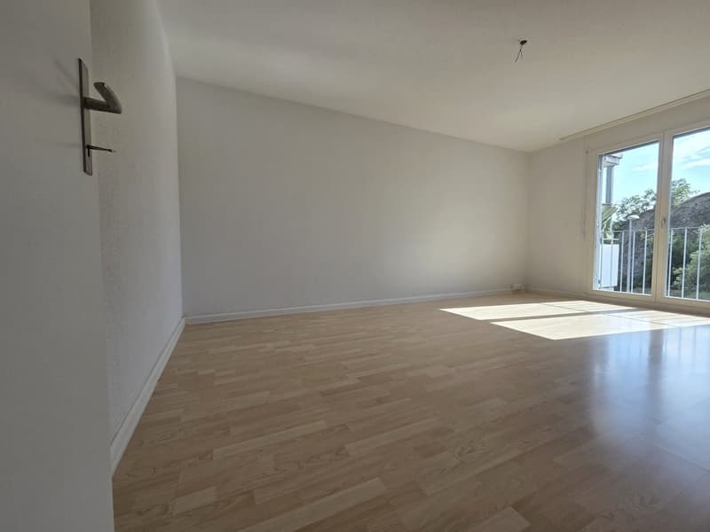 Bright 3.5-room apartment with balcony and beautiful view in Holderbank (3)