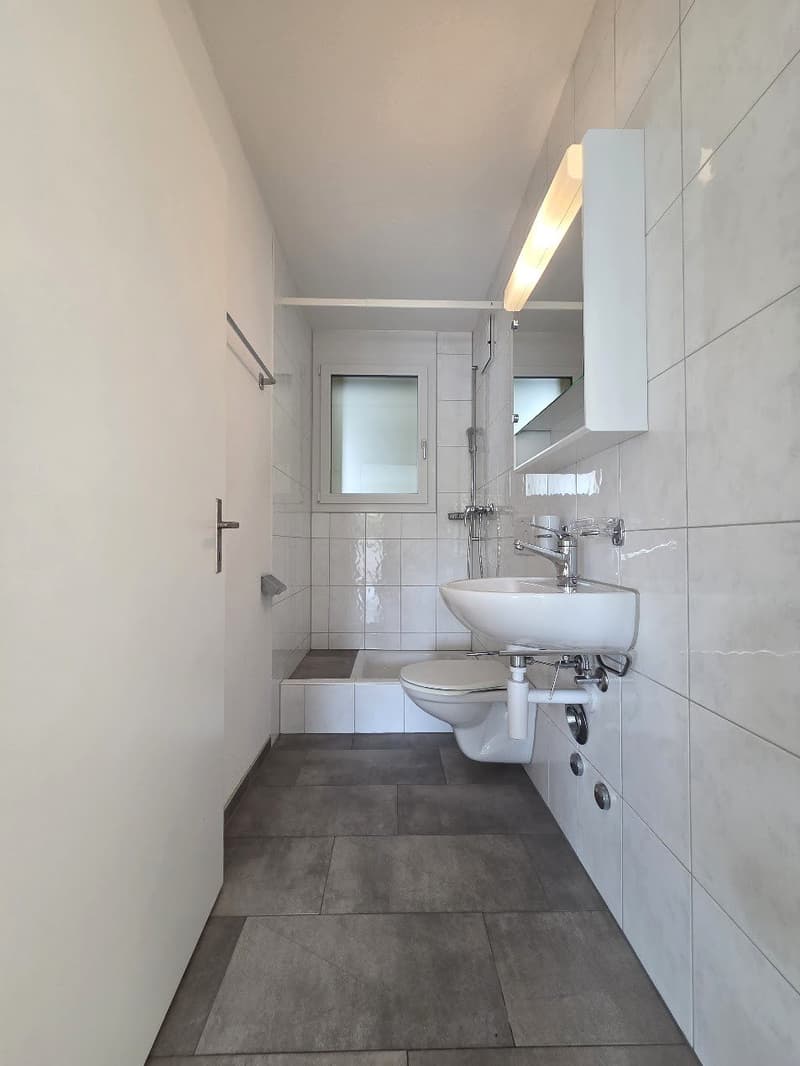 Bright 3.5-room apartment with balcony and beautiful view in Holderbank (9)