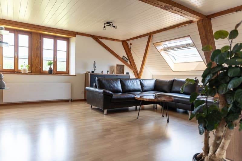 Charmante 4-Zimmer-Dachwohnung an ruhiger Lage (2)
