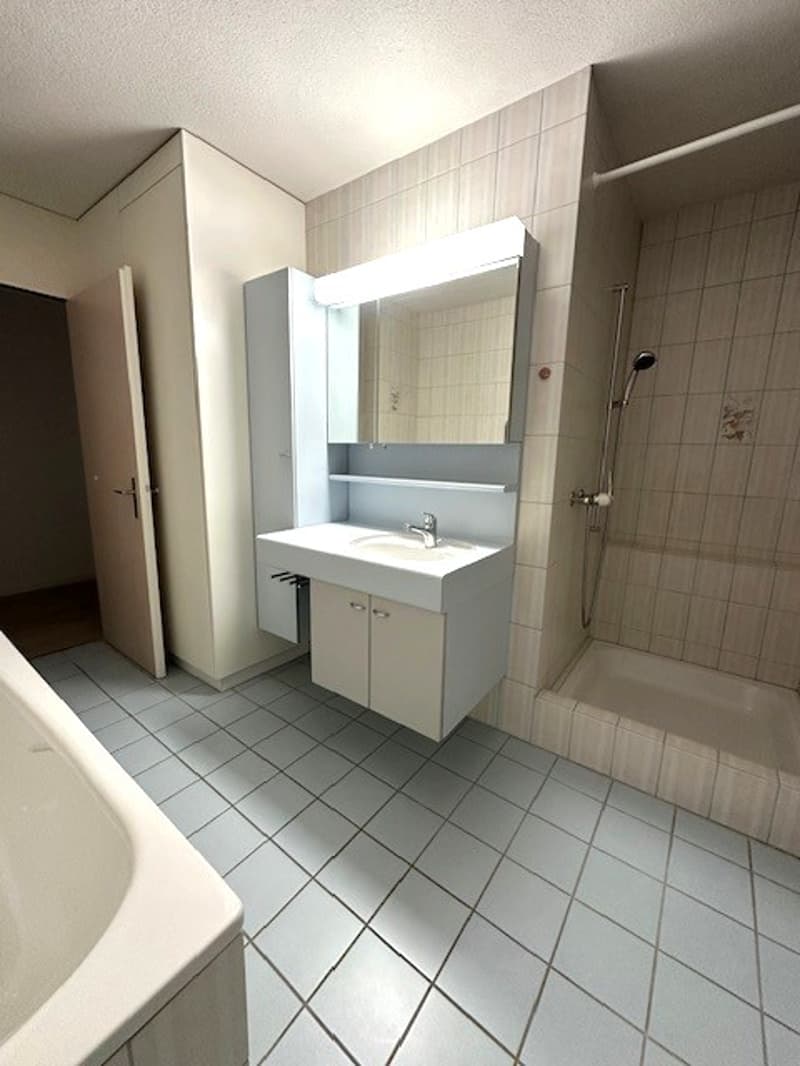 3.5 room apartment in a quiet and affordable location! (6)