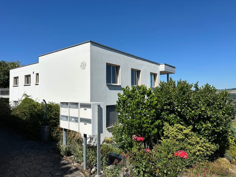 4,5 Zi-Wohnung mit Top See- und Alpensicht! (1)
