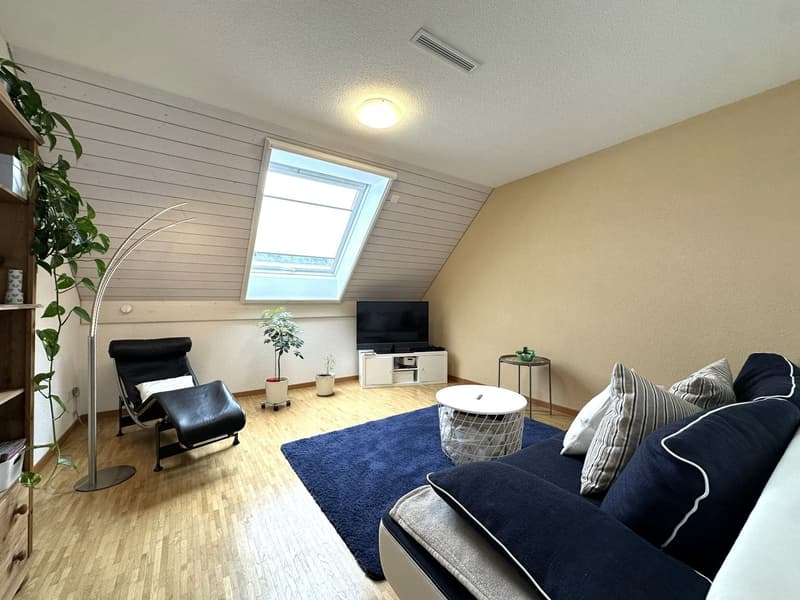 Grosszügige Attika-Maisonettewohnung in TOP-Zustand (5)