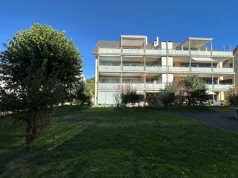 Grosszügige Attika-Maisonettewohnung in TOP-Zustand (1)