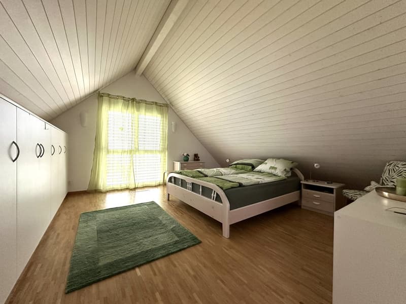 Grosszügige Attika-Maisonettewohnung in TOP-Zustand (10)
