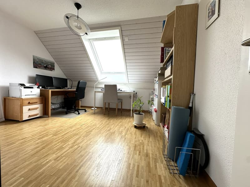 Grosszügige Attika-Maisonettewohnung in TOP-Zustand (4)