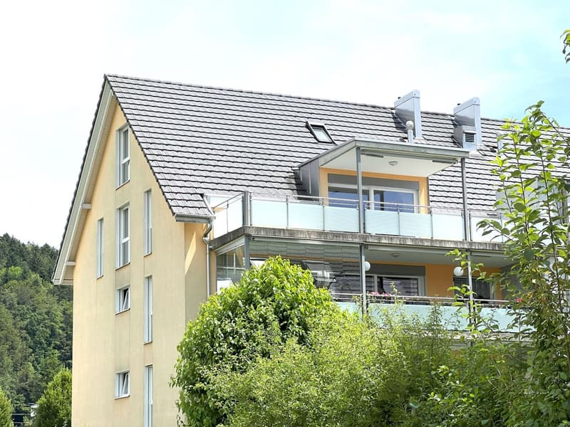 Grosszügige Attika-Maisonettewohnung in TOP-Zustand (16)