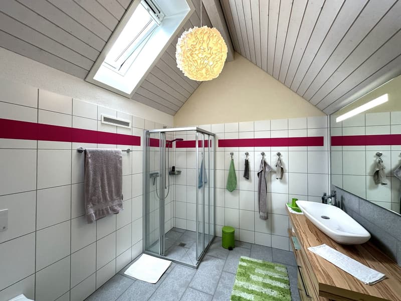 Grosszügige Attika-Maisonettewohnung in TOP-Zustand (11)