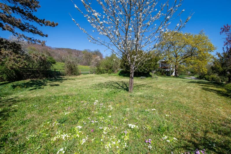 Vue panoramique, 1'795 m² de terrain & maison unifamiliale de 7,5 pièces avec un potentiel exceptionnel (18)