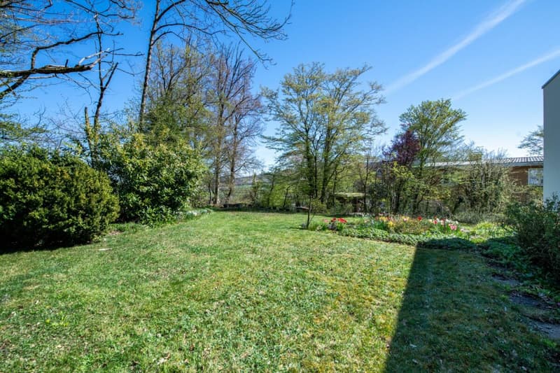 Vue panoramique, 1'795 m² de terrain & maison unifamiliale de 7,5 pièces avec un potentiel exceptionnel (20)