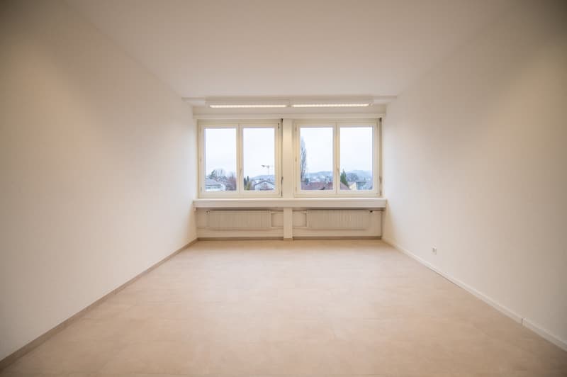 Appartamento moderno e luminoso di 2 camere (2)