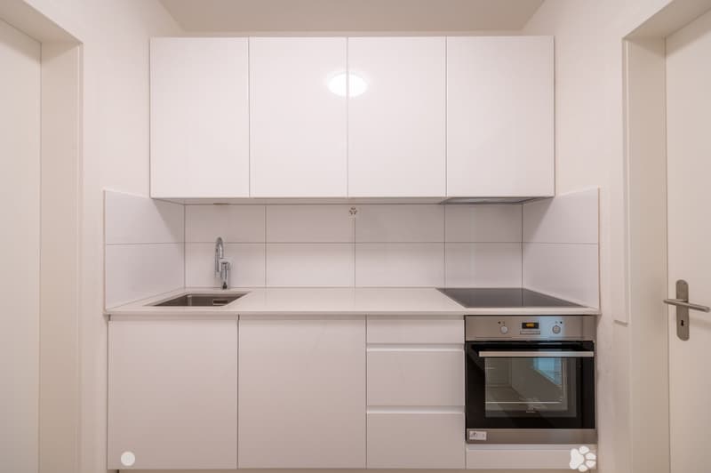 Moderne und helle 2-Zimmerwohnung (3)