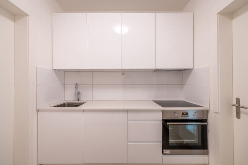 Appartamento moderno e luminoso di 2 camere (3)