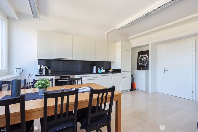 Moderne und helle 1-Zimmerwohnung (3)
