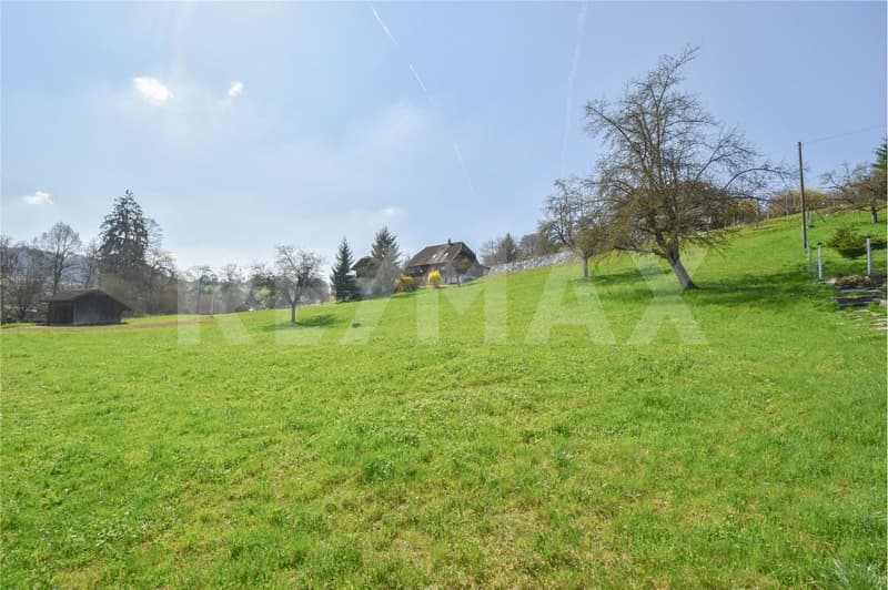 Your project idea? This building land is waiting for it. (2)