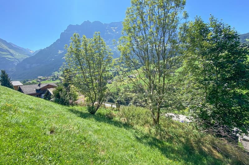 Terreno edificabile con vista mozzafiato (5)