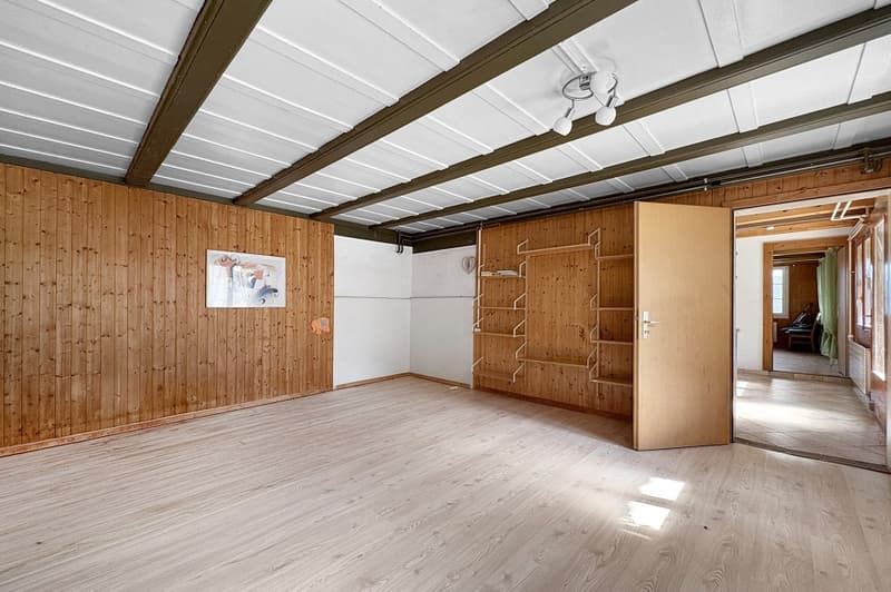Large farmhouse with 2 apartments (9)