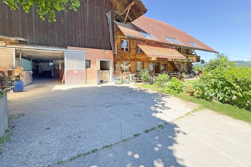 Large farmhouse with 2 apartments (5)