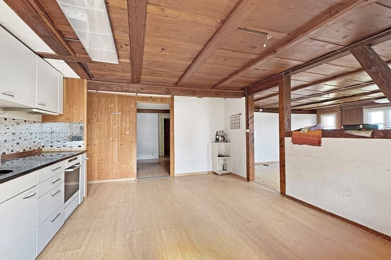 Large farmhouse with 2 apartments (11)