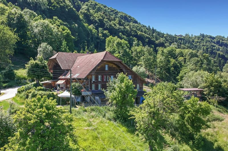 Large farmhouse with 2 apartments (4)