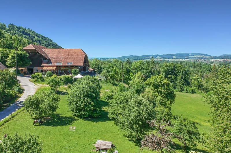 Large farmhouse with 2 apartments (3)