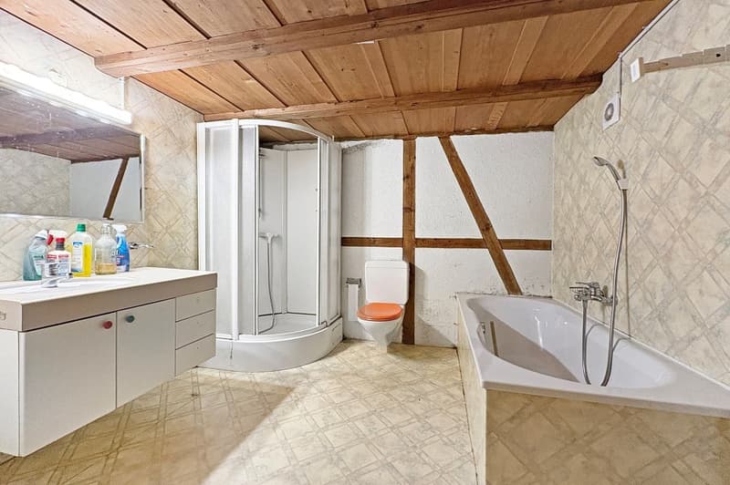 Large farmhouse with 2 apartments (13)