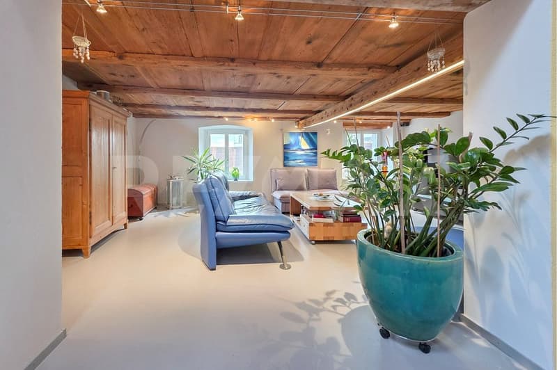 Historic charm. Modern living quality. A home with heart and space to live. (6)