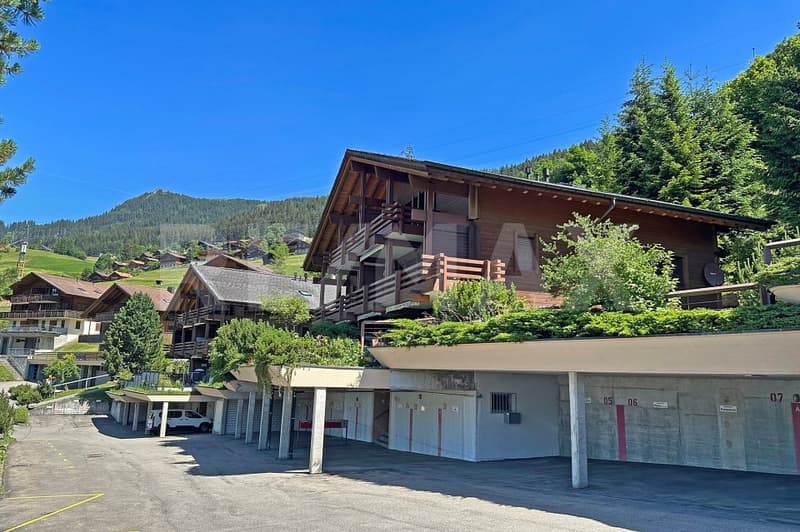 A Loge Spot in the Swiss Alps (13)