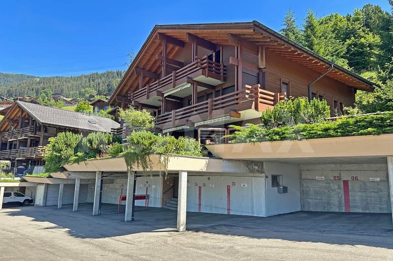 A Loge Spot in the Swiss Alps (1)