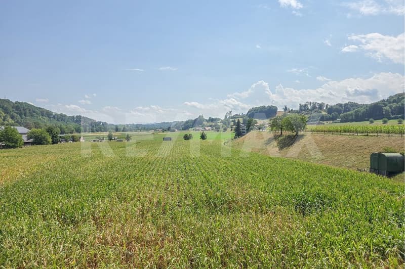 Sonnige Aussichten, viel Ruhe und ein Zuhause zum Wohlfühlen (9)
