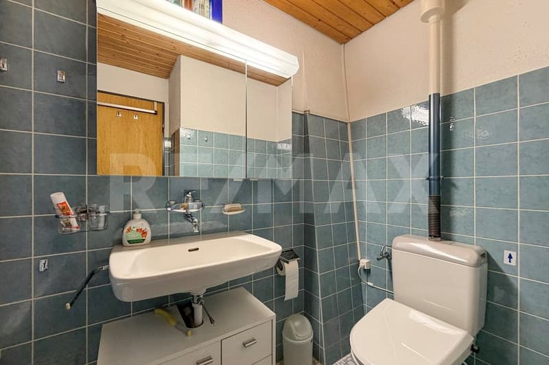 Sonnige 2½ - Zimmer Dachwohnung in Kandersteg (12)