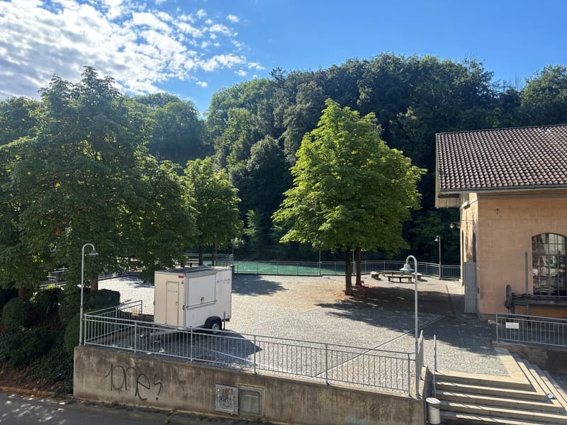 Bureaux/Locaux Commerciaux 145.9 m2 (6)