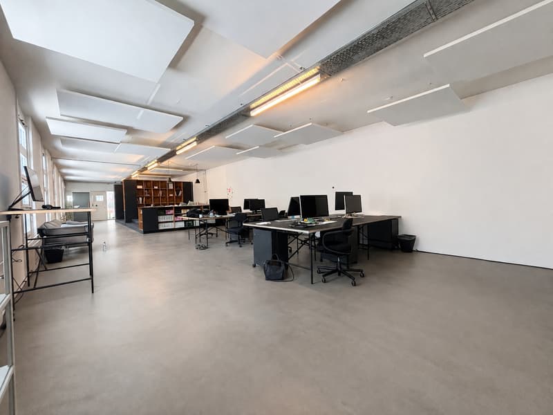 Bureaux/Locaux Commerciaux 145.9 m2 (4)