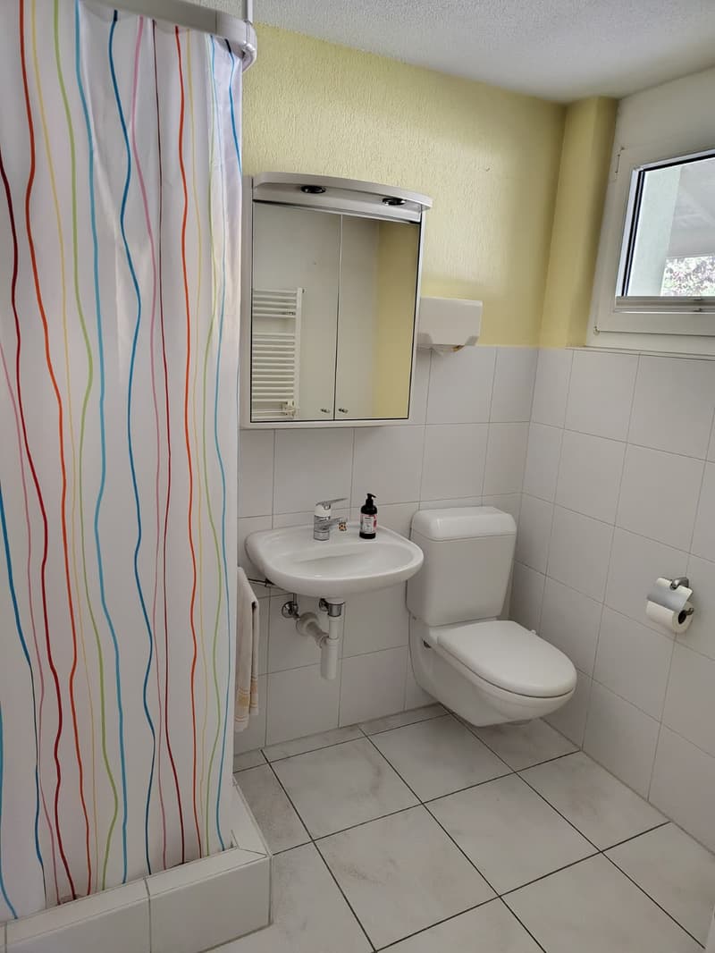 Spacious 7.5-room semi-detached house in Urtenen-Schönbühl (13)