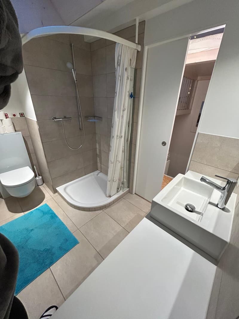 Spacious 7.5-room semi-detached house in Urtenen-Schönbühl (7)