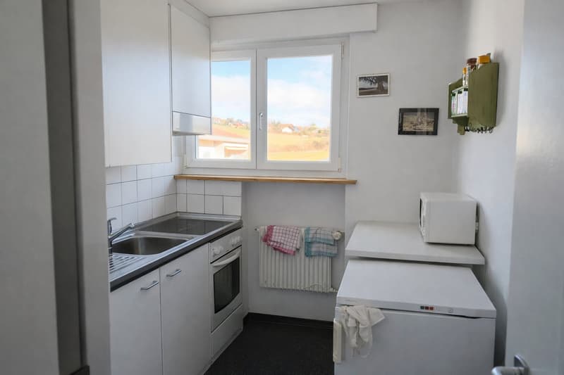Appartement lumineux 5 pièces avec grand balcon (5)