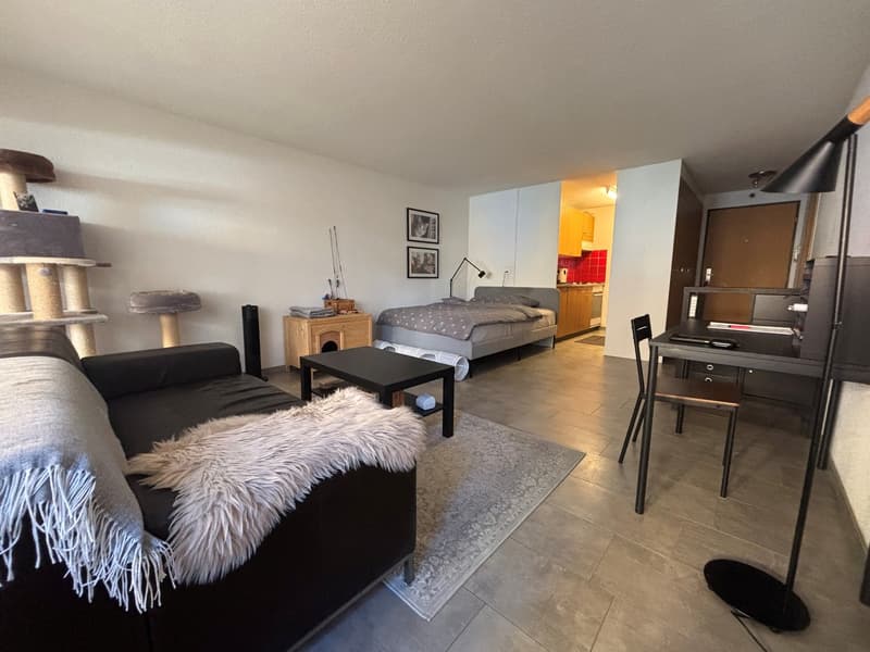 Gemütliche 1-Zimmer-Wohnung mit Sitzplatz in Ostermundigen (4)
