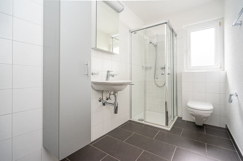 Moderne 4.5-Zimmer-Wohnung in Dotzigen (8)