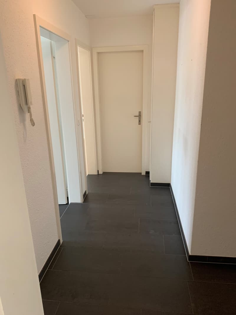 Sonnige 2-Zimmer-Wohnung mit grossem Balkon (5)