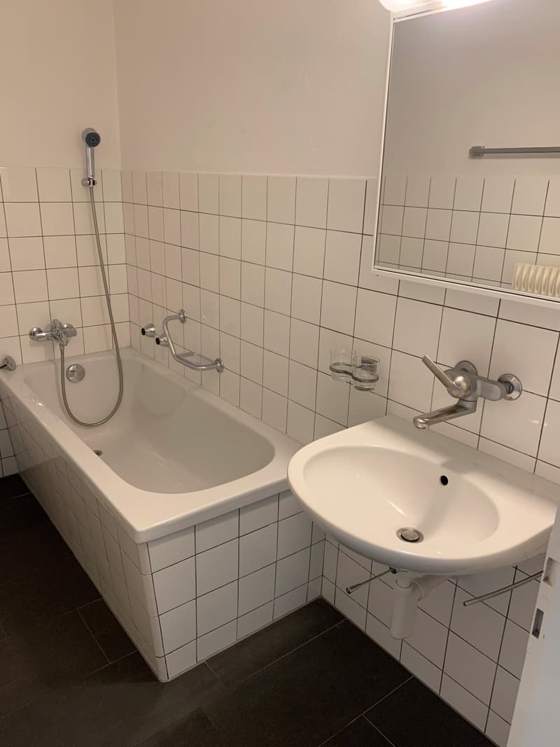 Sonnige 2-Zimmer-Wohnung mit grossem Balkon (4)