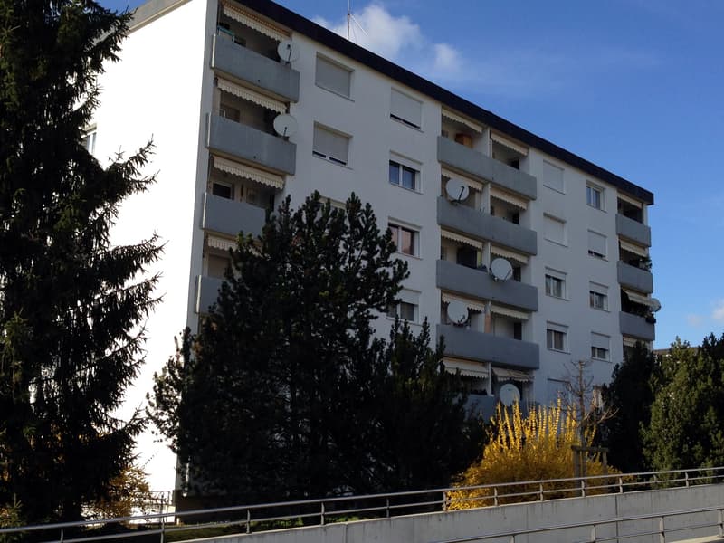 Appartement 6,5 pièces "LOGER À MOINDRE COÛT" (1)