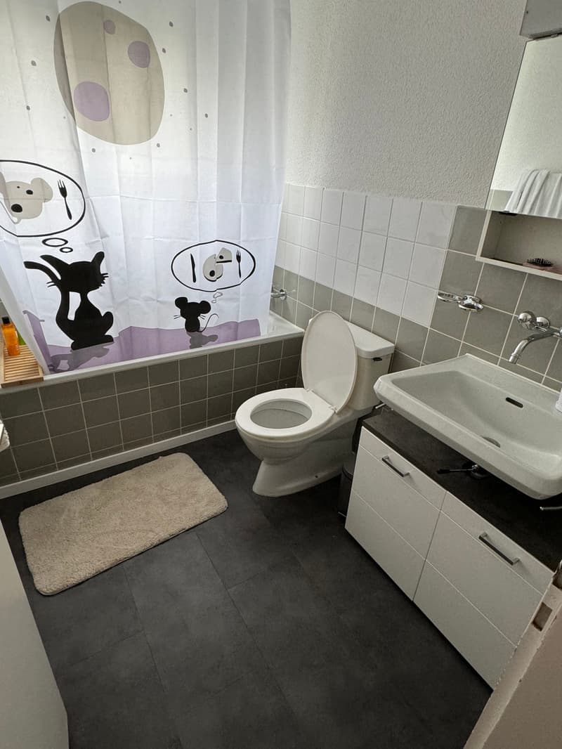 Charmante 3.5-Zimmer-Altbauwohnung mit Balkon in Sulgen – ab September 2026 verfügbar (8)