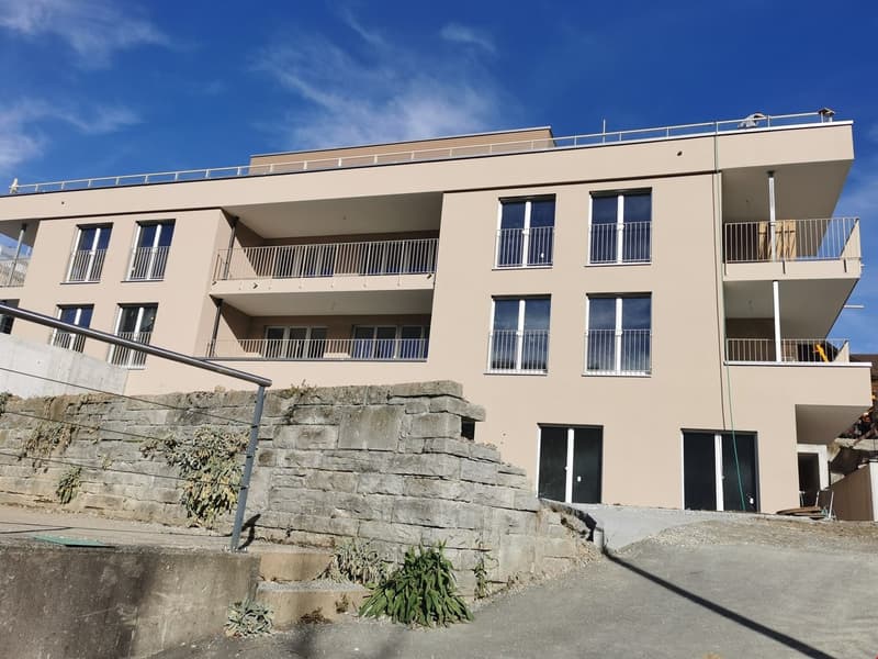 sehr attraktive und grosse, helle 3,5-Zimmerwohnung D02 (6)