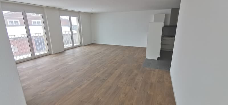 sehr attraktive und grosse, helle 3,5-Zimmerwohnung D02 (13)