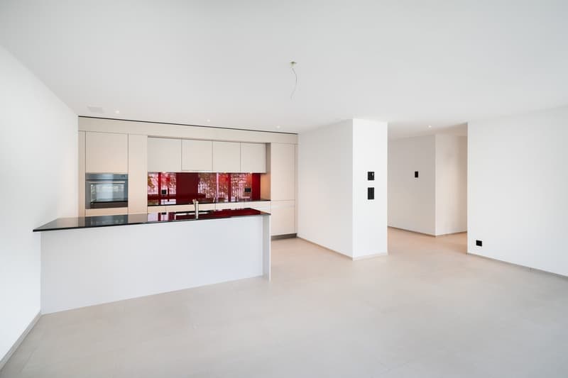 Modern, open-concept kitchen with white cabinets, black countertops, and a red glass backsplash. The kitchen features built-in appliances including a dishwasher. The space is bright and airy with a minimalist design.
