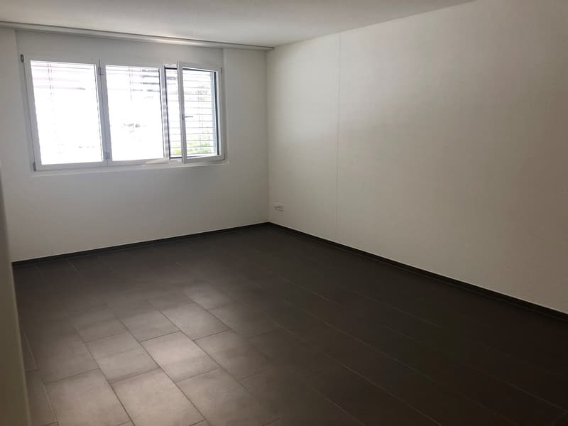 Empty room with white walls, large windows, and dark hardwood flooring.
