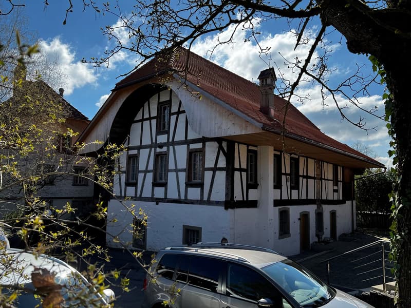 Un gioiello a Kirchdorf BE (2)