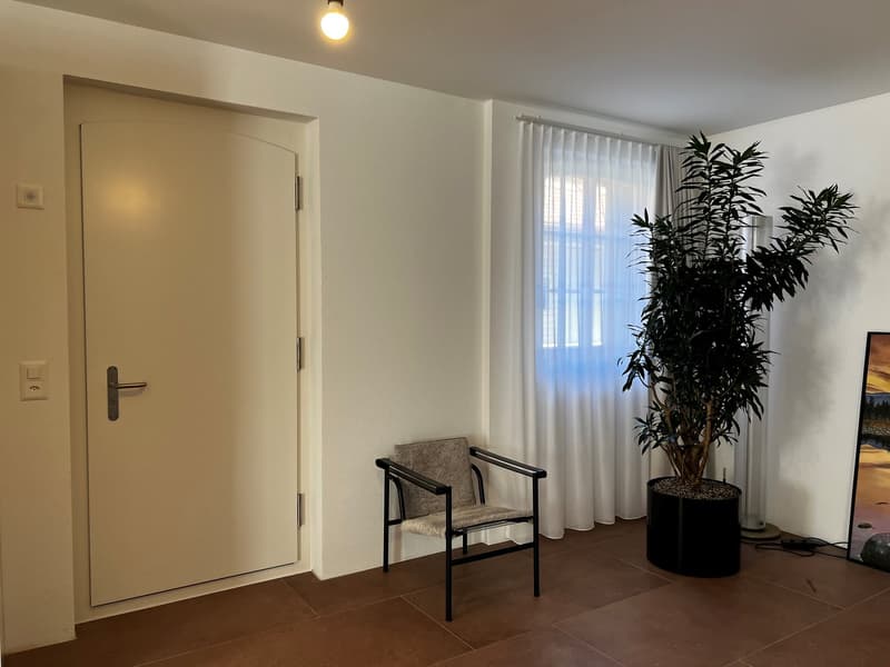 Spacious living room with white walls, large window, armchair, and a tall potted plant