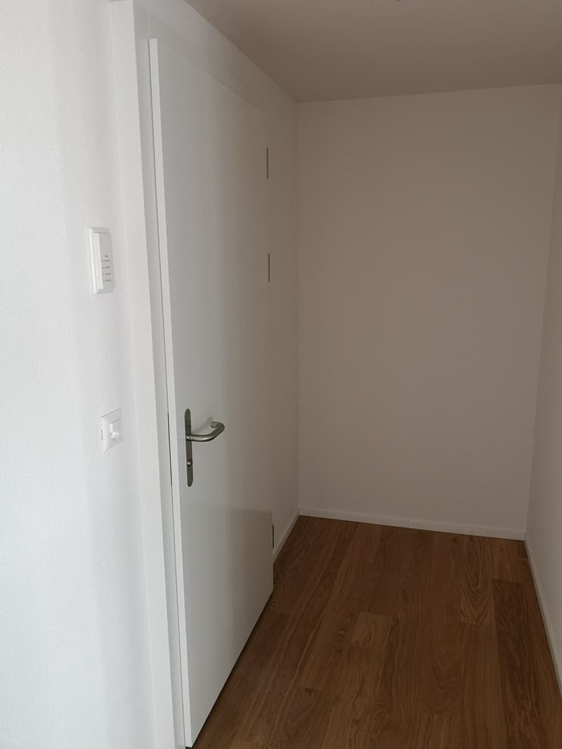 Appartamento ristrutturato di 1,5 locali (3)