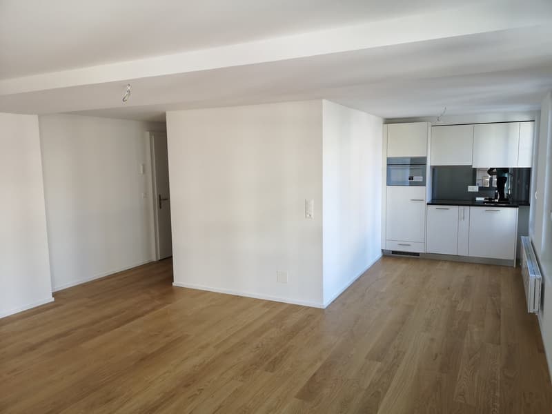 Appartamento ristrutturato di 1,5 locali (1)