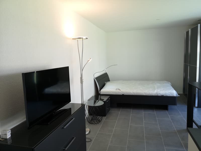 Studio arredato di alta qualità a Interlaken (1)
